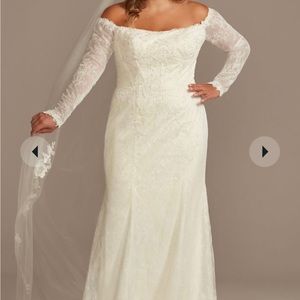 David’s Bridal long sleeve wedding dress.